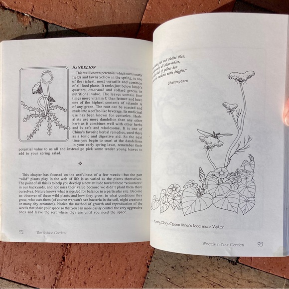 Signed Vintage The Holistic Garden Eco-Friendly Gardening Zen Serenity Garden - Picture 13 of 17